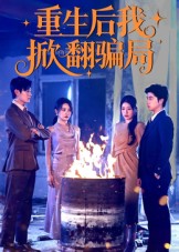 重生后我掀翻骗局(全集)