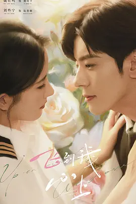 飞到我心上
