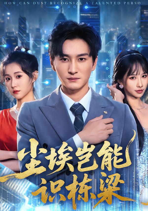 尘埃岂能识栋梁(全集)